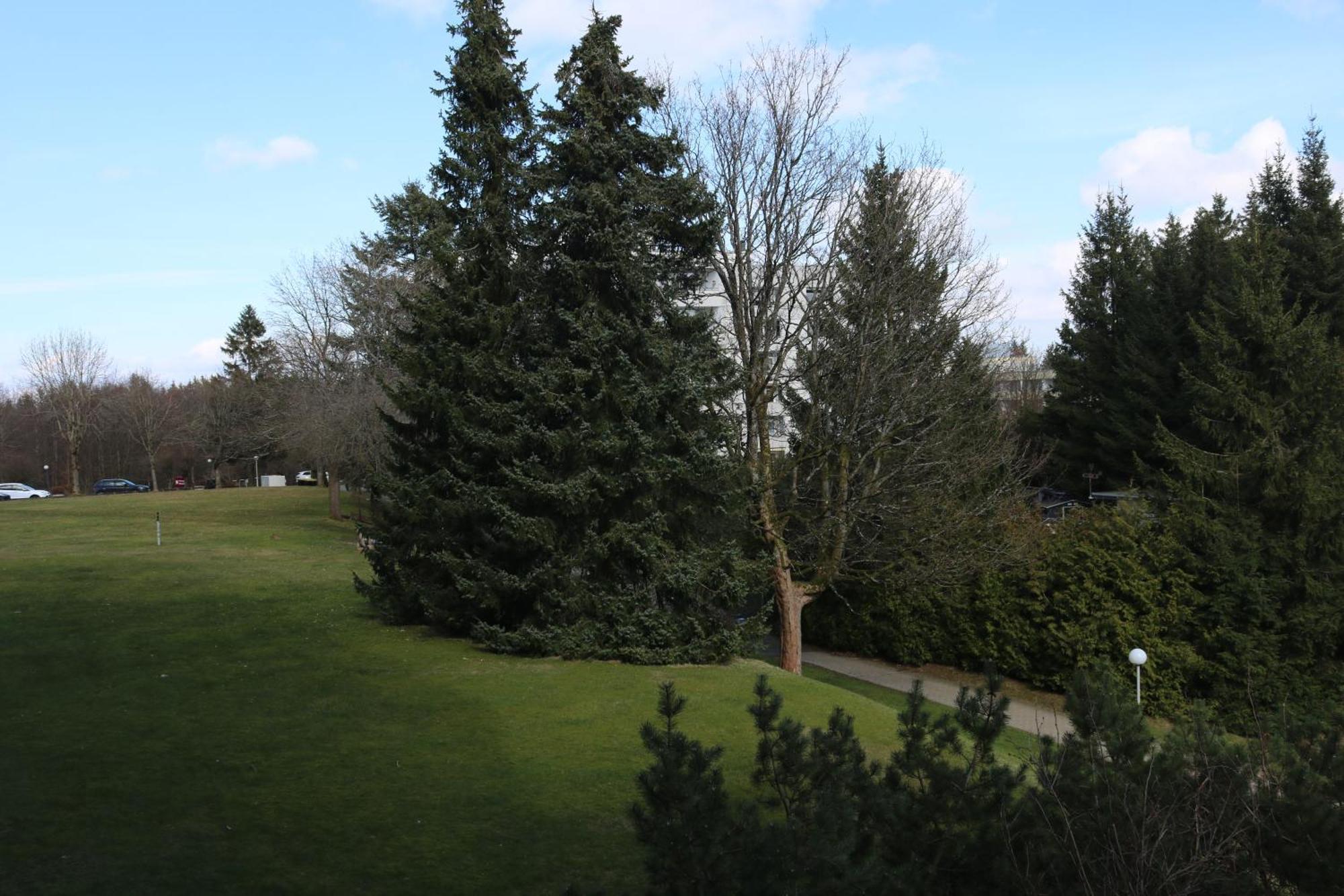 Natur Suite Goslar Exterior foto